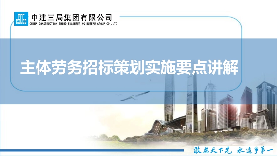 中建主体劳务招标策划实施要点讲解_第1页