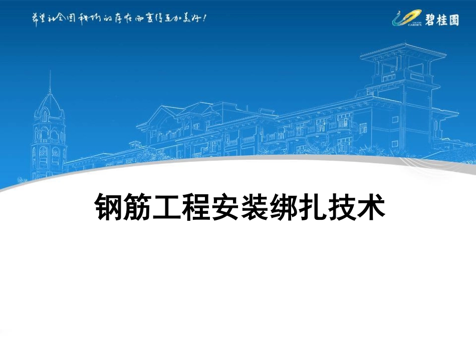 钢筋工程安装绑扎技术讲解图文并茂_第1页