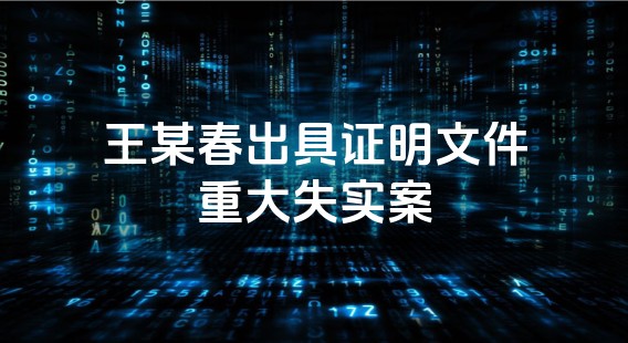 王某春出具证明文件重大失实案